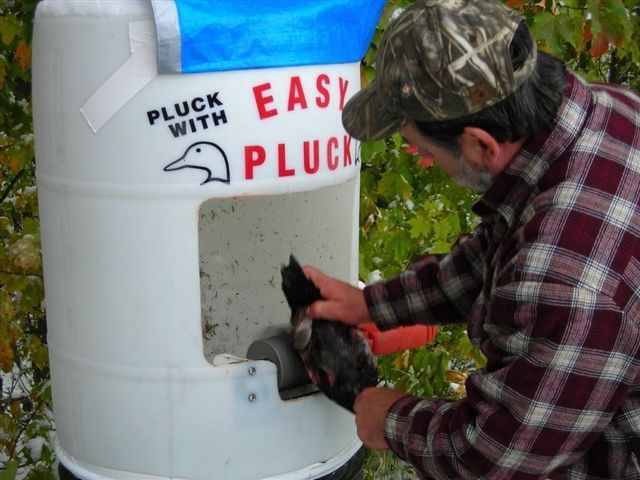 Easy Pluck™ - duck plucking